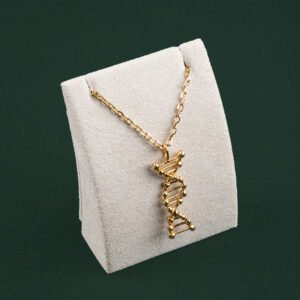 DNA origin Necklace (Men)